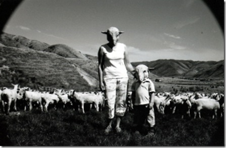 Sheep Farm(com)_thumb